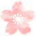 合格桜